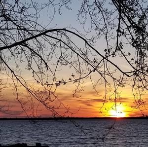 Meet your Posher, Sherri